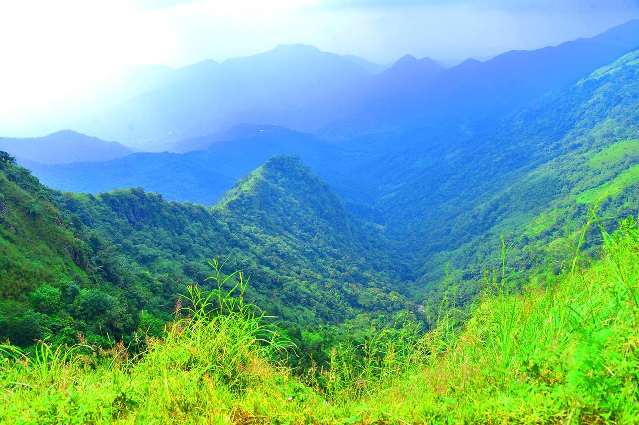 D'Heavenly Mist Resorts Erattupetta 外观 照片