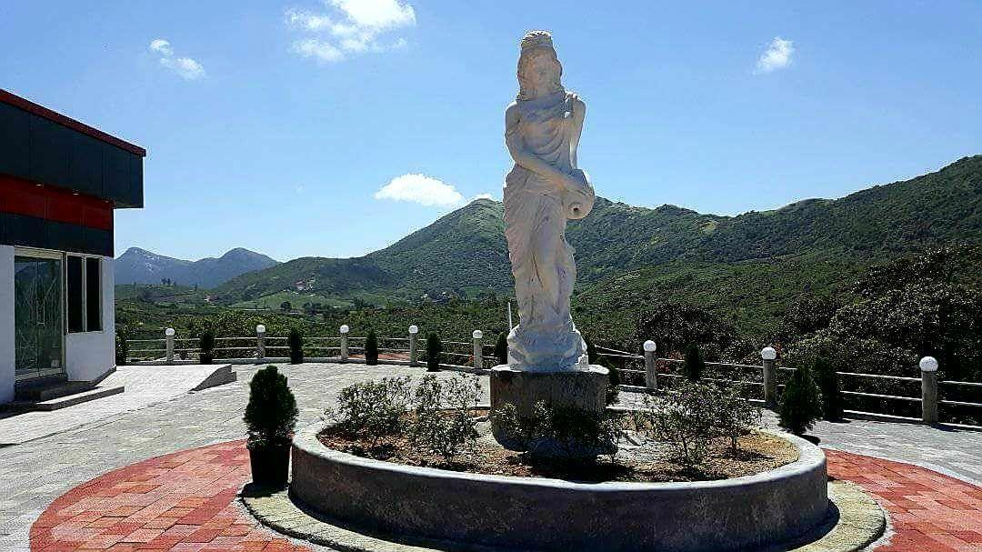 D'Heavenly Mist Resorts Erattupetta 外观 照片